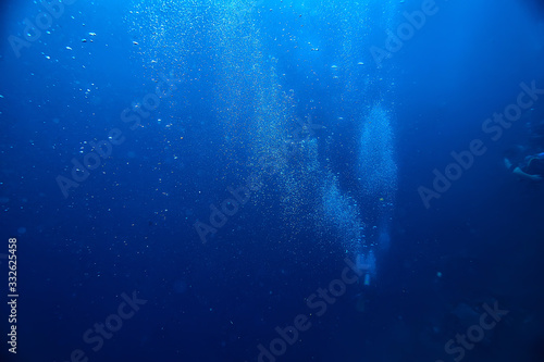 diving into water   sea scene  rest in the ocean  wildlife under water