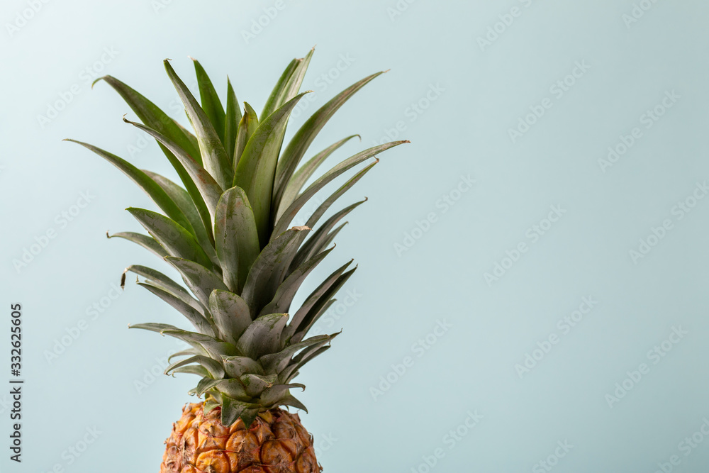 Whole pineapple on pastel blue background. Copy space. Whole pineapple on pastel blue background. Copy space.