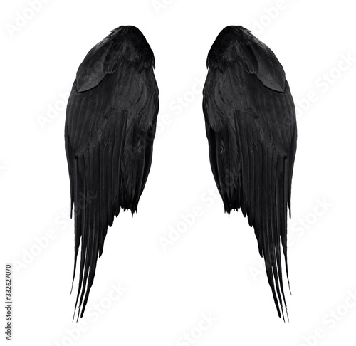 two real black angel wings with big feathers isolated on white background