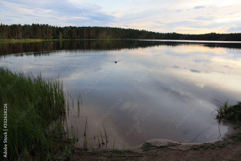 Fototapeta premium morning on lake