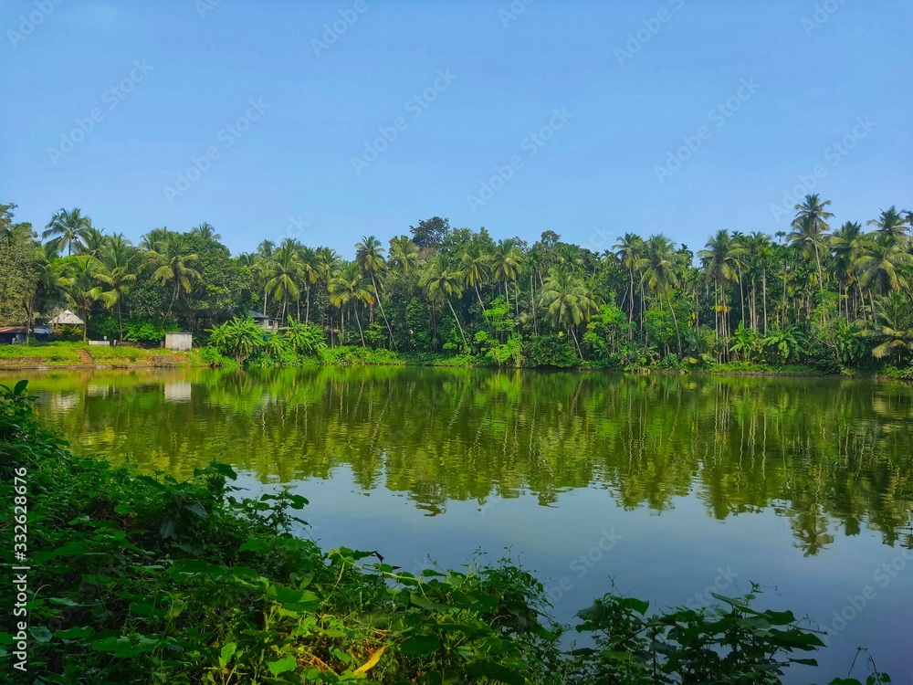 lake in deep forest