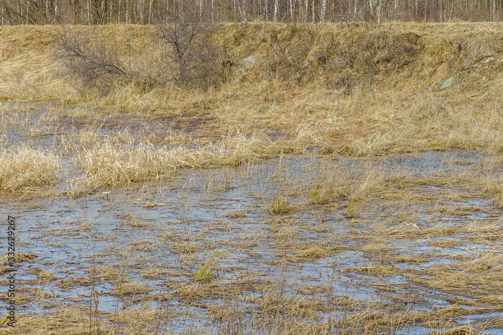 field flooded with water during the spring flood of rivers