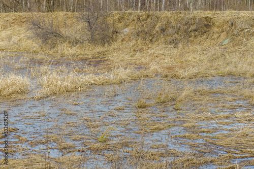 Obraz na płótnie field flooded with water during the spring flood of rivers w salonie