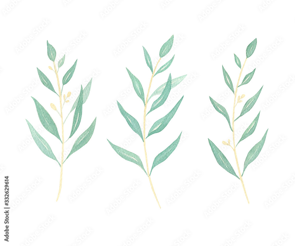 Eucalyptus leaves watercolor set. Hand paitned eucalypt branches illustration isolated on white background. Perfect for wedding invitations, design greeting cards, banners, mockups. Greenery.