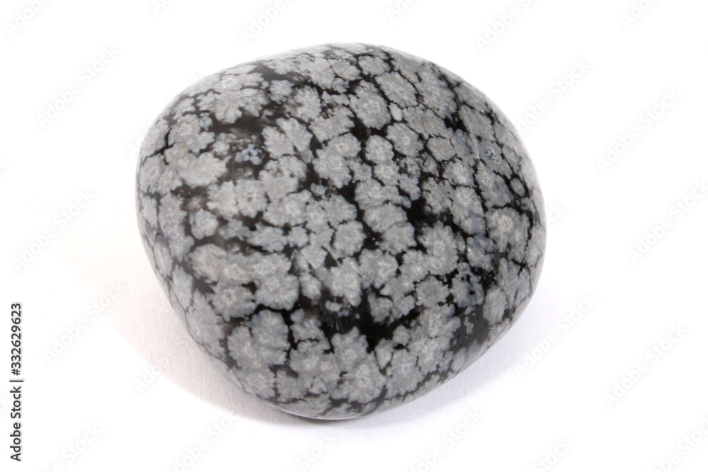 A Snowflake Obsidian Gemstone A Snowflake Obsidian Gemstone