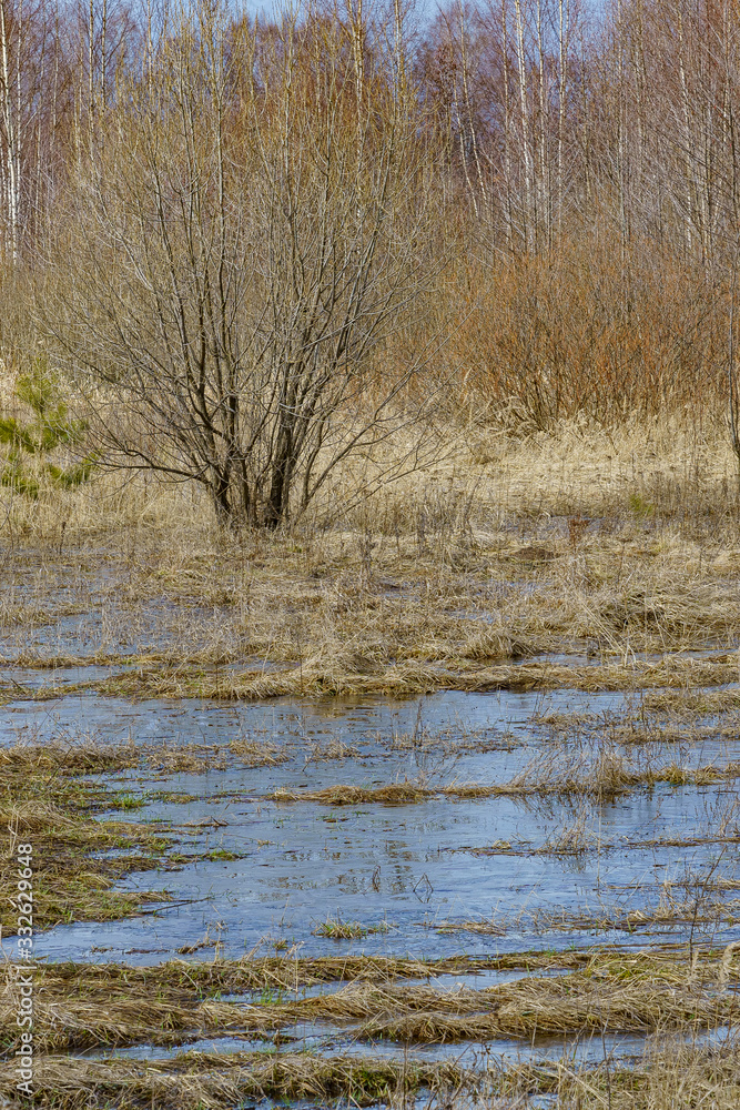 field flooded with water during the spring flood of rivers