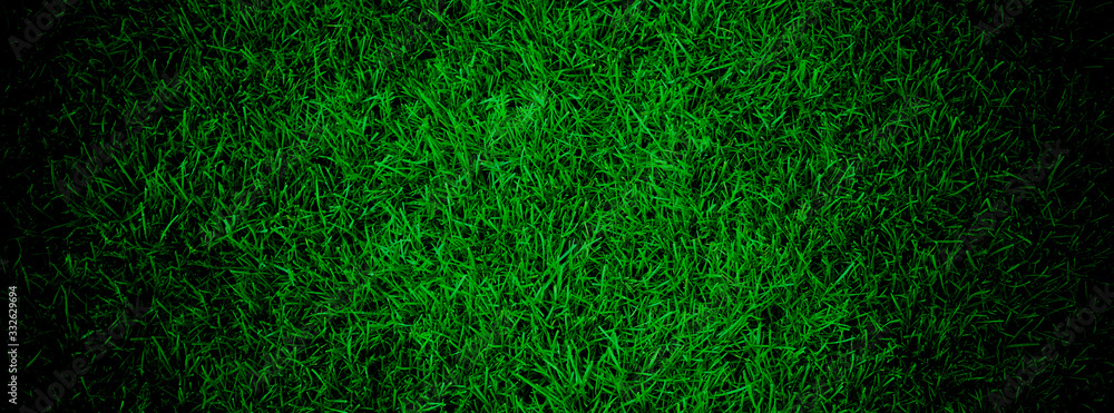 Green lawn texture background for design, closeup view Green lawn texture background for design, closeup view