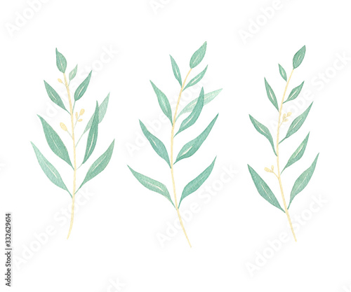 Eucalyptus leaves watercolor set. Hand paitned eucalypt branches illustration isolated on white background. Perfect for wedding invitations  design greeting cards  banners  mockups. Greenery.