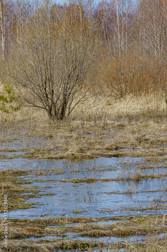 Obraz na płótnie field flooded with water during the spring flood of rivers w salonie