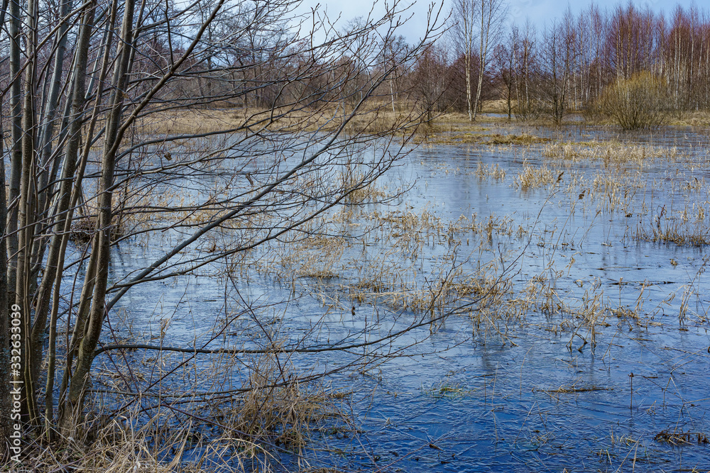 field flooded with water during the spring flood of rivers