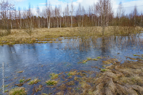 Obraz na płótnie field flooded with water during the spring flood of rivers w salonie