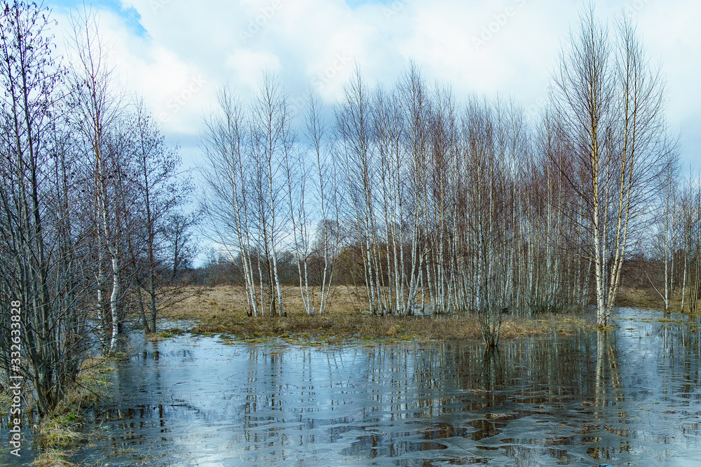 field flooded with water during the spring flood of rivers