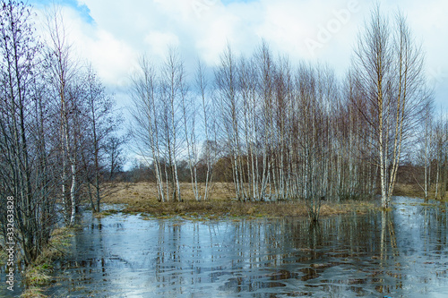 Obraz na płótnie field flooded with water during the spring flood of rivers w salonie