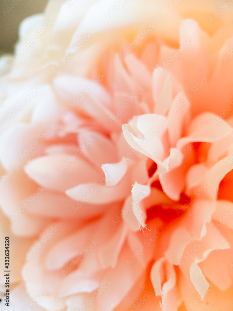 macro closeup on petals of a warm pink silk peony flower macro closeup on petals of a warm pink silk peony flower