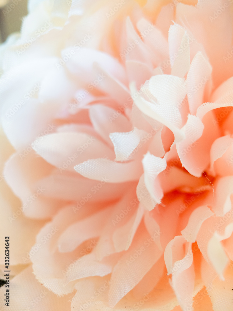macro closeup on petals of a warm pink silk peony flower macro closeup on petals of a warm pink silk peony flower