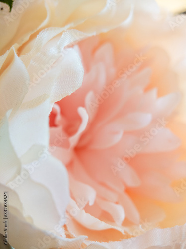 macro closeup on petals of a warm pink silk peony flower