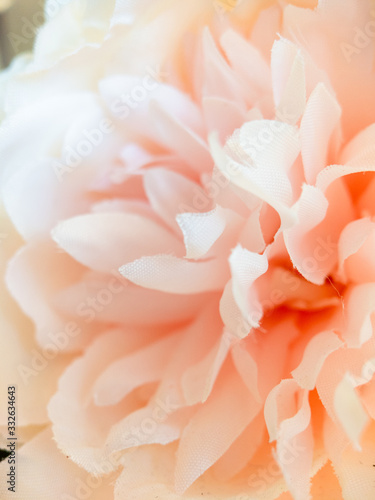 macro closeup on petals of a warm pink silk peony flower