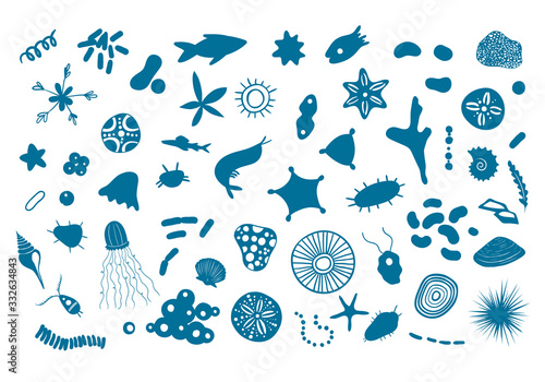 Vector illustration with microscopic marine creatures. Oceanic krill under microscope. Small fish, corals, shells, microorganisms isolated on white.  Sea plankton, detailed vector EPS 10 illustration.