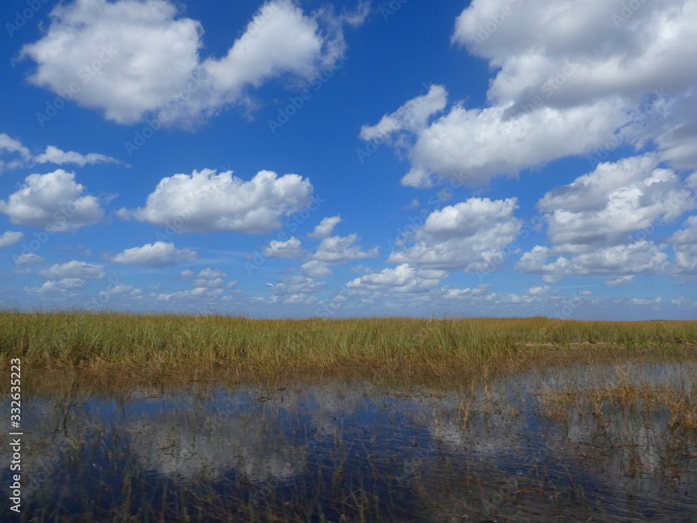 Panorama of the Everglades