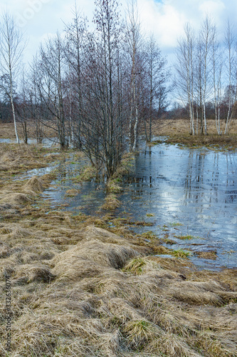 field flooded with water during the spring flood of rivers