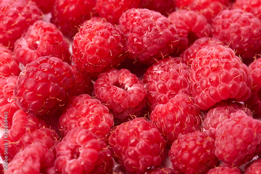 Lots of juicy ripe red raspberries Lots of juicy ripe red raspberries