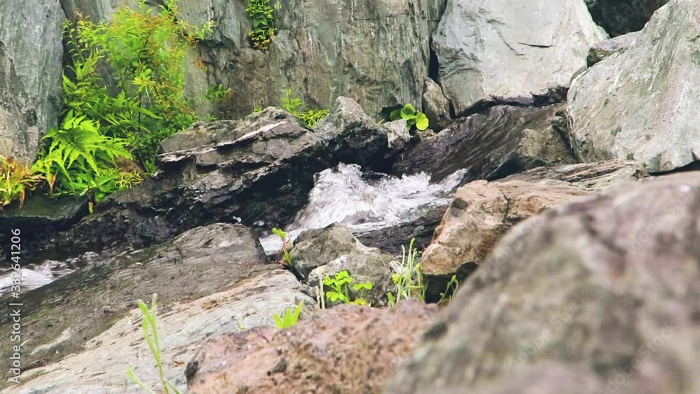 Japanese Stream. A beautiful slow motion shot of a small stream between rocks, located in Japan. Wide shot to close up of the water. Japanese Stream. A beautiful slow motion shot of a small stream between rocks, located in Japan. Wide shot to close up of the water.