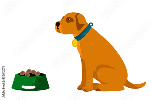 Vector character cute big sitting dog feeding