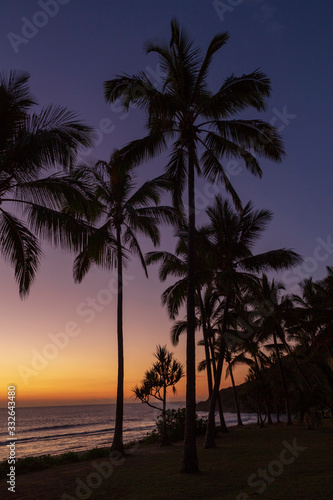 Coucher de soleil sur l'île de la réunion au bord d'une plage avec des palmiers