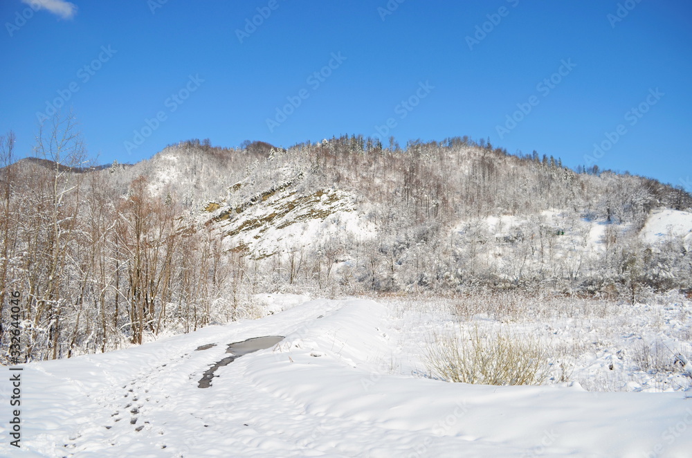 forest wild river landscape with snow at spring forest wild river landscape with snow at spring