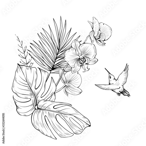 Composition with Orchids, hummingbird and palm leaves. Vector botanical illustration