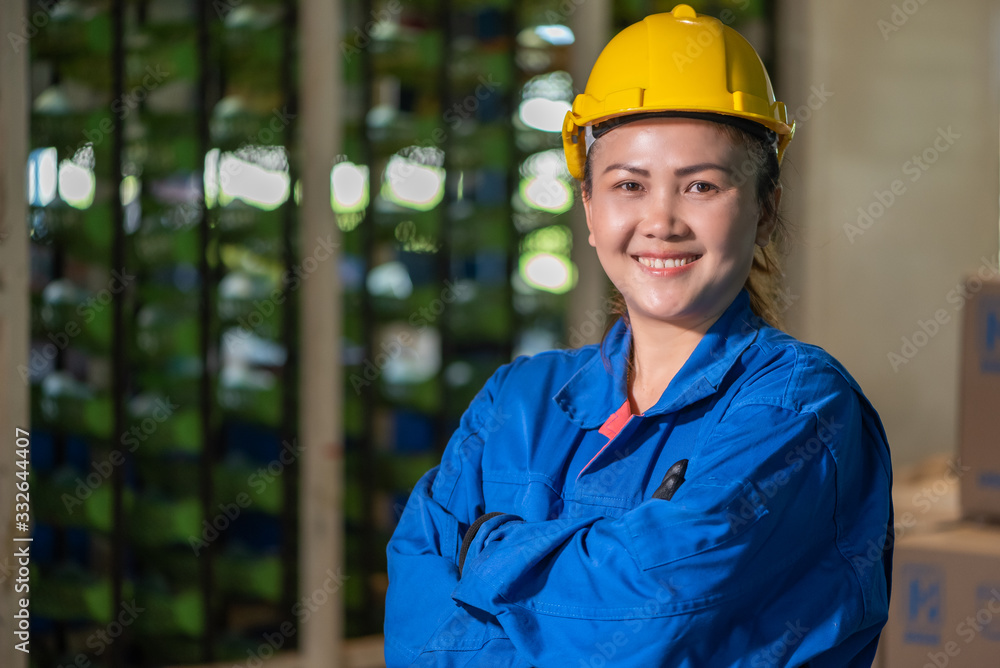 The abstract image of the woman engineer standing in the factory. the concept of engineering, industrial, management, warehouse and laboratory. The abstract image of the woman engineer standing in the factory. the concept of engineering, industrial, management, warehouse and laboratory.
