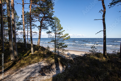 Baltic Sea Gulf