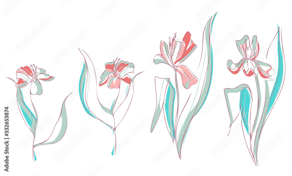Fototapeta premium Hand Sketched Tulips. Floral Illustration.