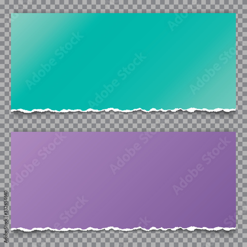 green and purple note paper on transparent background