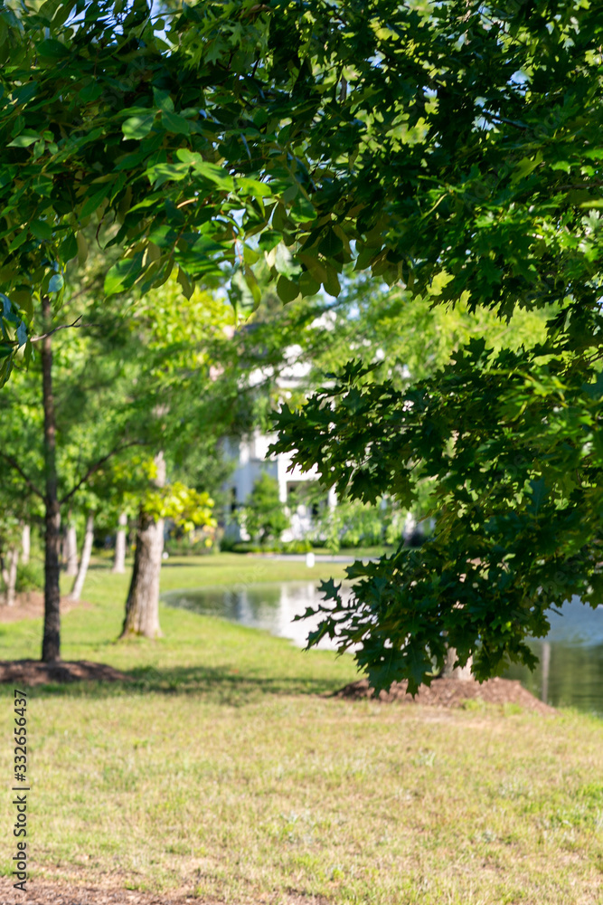Peaceful lake house view Peaceful lake house view