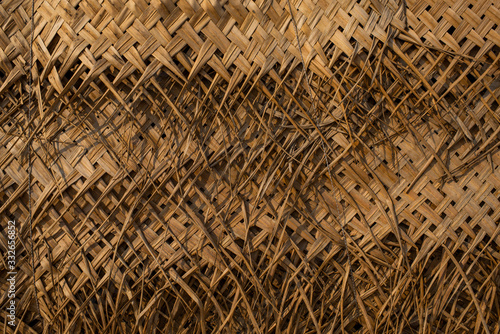 palm tree roof texture
