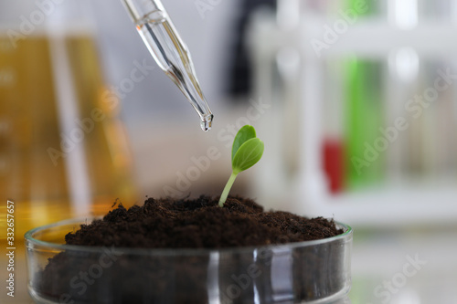 Photos Close-up of sprout sample fertilizing with serum