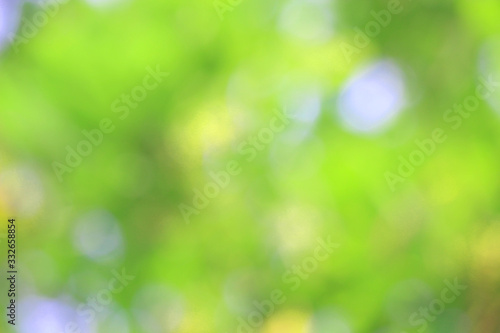 Bokeh green nature, Subtle background in abstract style for graphic design