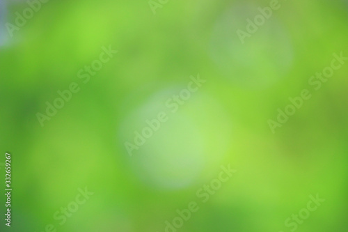 Bokeh green nature, Subtle background in abstract style for graphic design