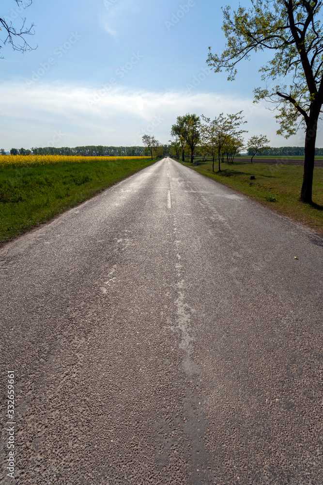 Fototapeta premium Open road in the Great Hungarian Plain