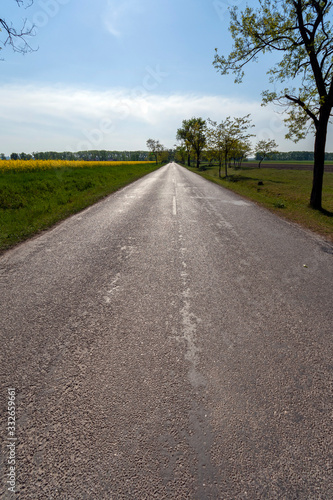 Open road in the Great Hungarian Plain