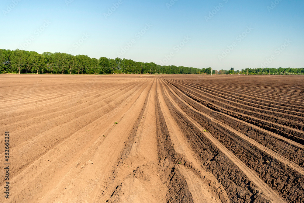 Freshly plowed soil in the Great Hungarian Plain