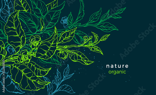 Green plant. Vector floral background. Tea bush