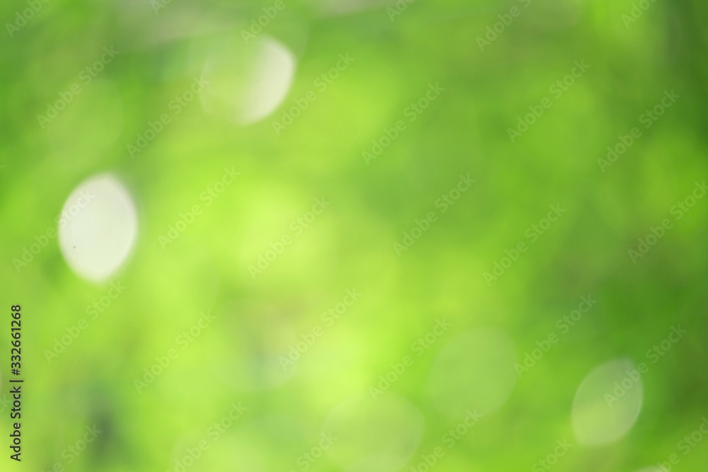 Obraz premium Bokeh green nature, Subtle background in abstract style for graphic design