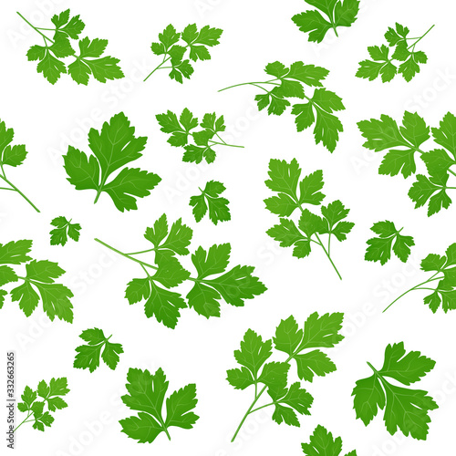 Fresh green parsley leaves on white background. Parsley isolated. Vector illustration. Seamless pattern.