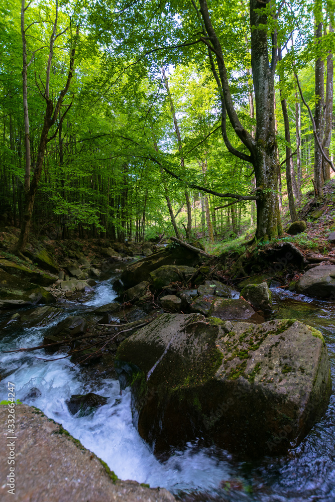water stream in the beech forest. beautiful nature scenery in spring, trees in fresh green foliage. mossy rocks and boulders on the shore. warm sunny weather water stream in the beech forest. beautiful nature scenery in spring, trees in fresh green foliage. mossy rocks and boulders on the shore. warm sunny weather
