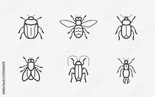 Insects icon set in linear style. Vector illustration © ~ Bitter ~