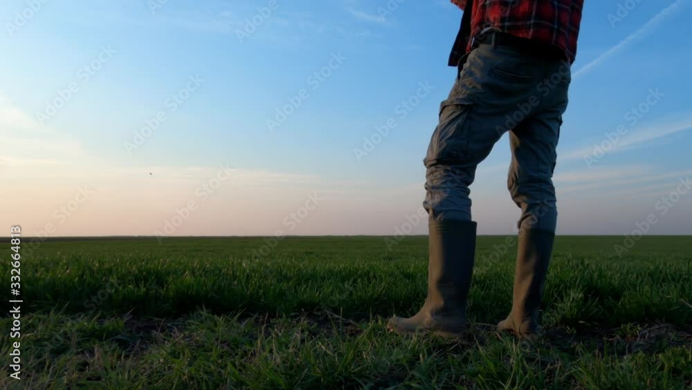 Farmer wearing rubber boots standing in wheatgrass field Farmer wearing rubber boots standing in wheatgrass field