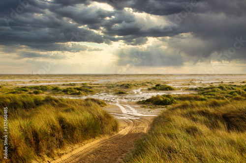 In the Dunes at the Beach of Amrum, Germany, Europe