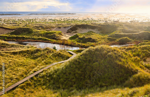 Dunes at the Beach of Amrum, Germany, Europe photo